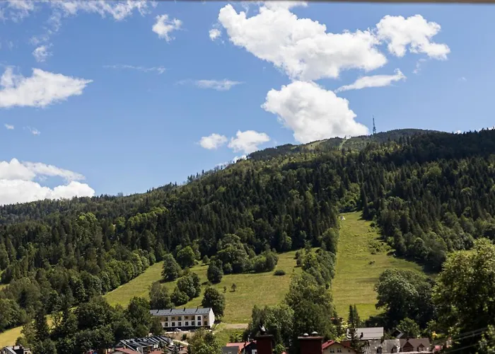 Mountain View Apartament 1